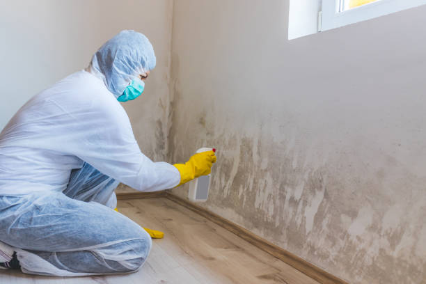 Hvac And Air Duct Mold Remediation inspection of HVAC system in Fairview